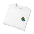 Texas Shirt